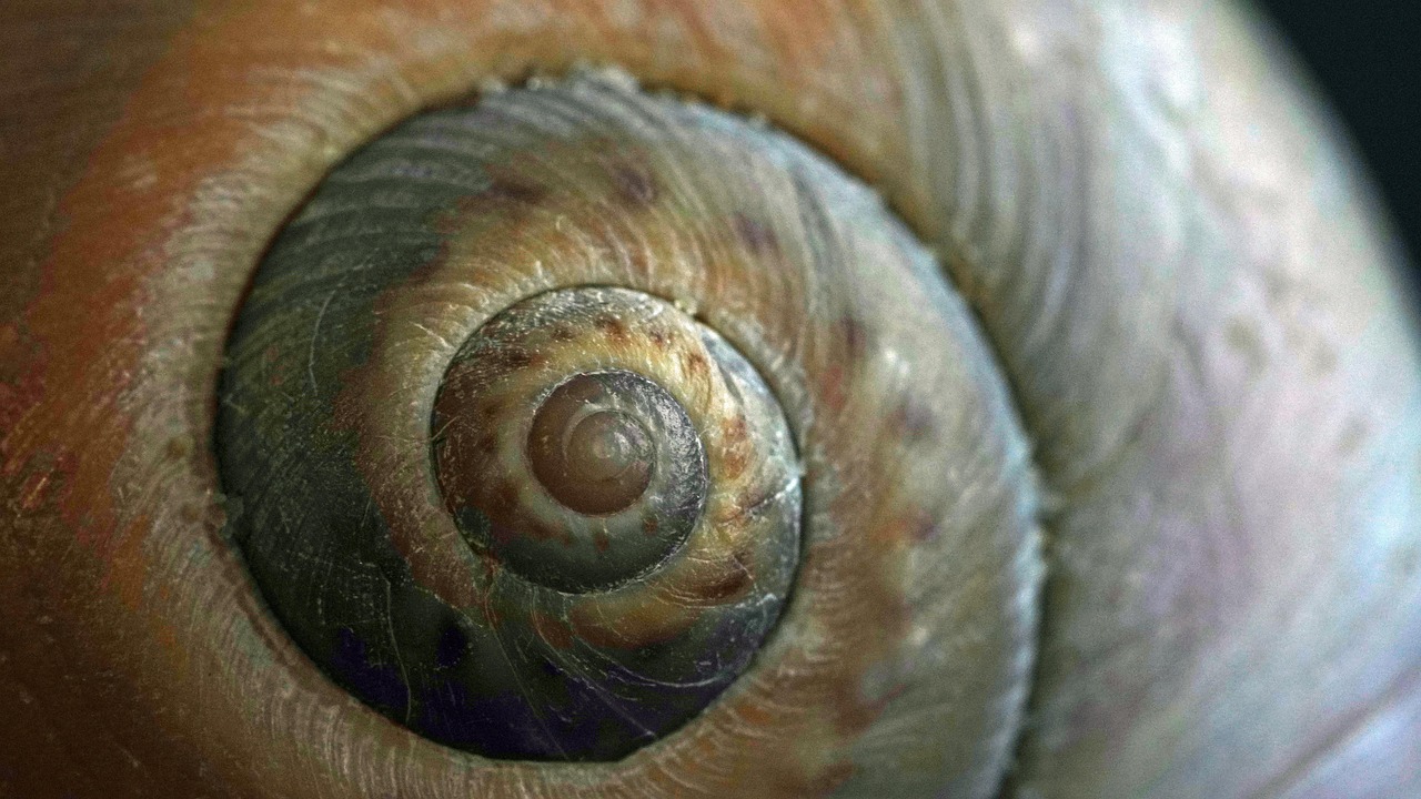 découvrez comment les collectifs citoyens s'engagent pour la biodiversité et contribuent à la protection de notre environnement naturel.