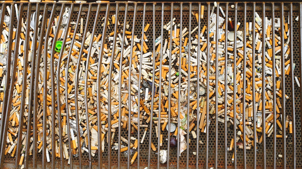 découvrez les enjeux de la santé environnementale et son impact sur notre bien-être quotidien. informez-vous sur la prévention, la qualité de l'air, de l'eau et la protection de l'environnement pour une vie plus saine.