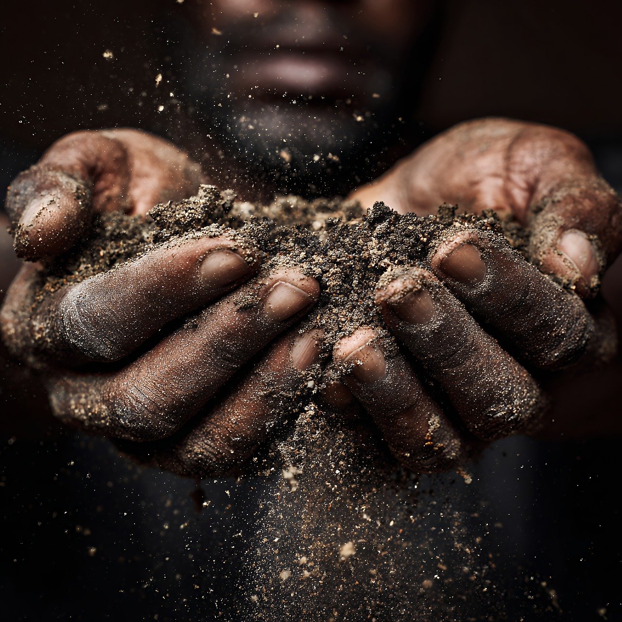 découvrez les pratiques d'agriculture durable visant à préserver les ressources naturelles, améliorer la qualité des sols et soutenir les communautés locales pour un avenir écologique et prospère.