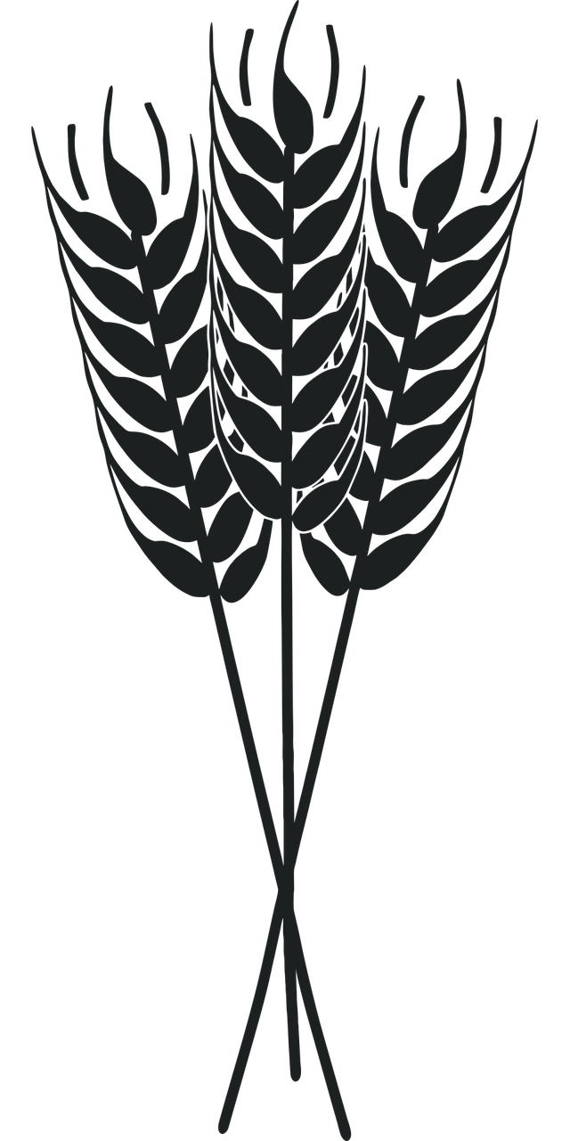 découvrez les pratiques d'agriculture durable favorisant la préservation de l'environnement, la biodiversité et une production alimentaire responsable pour les générations futures.