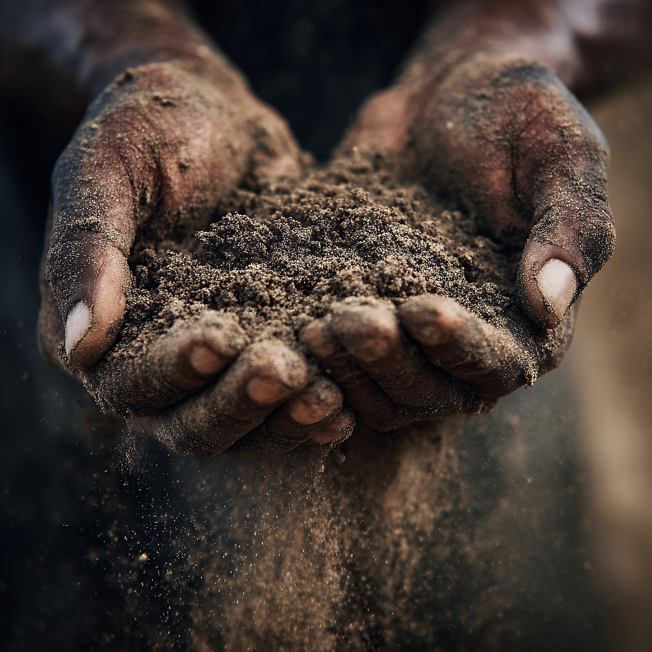 découvrez des conseils et techniques pour un jardinage durable, respectueux de l'environnement, économisant les ressources et favorisant la biodiversité.