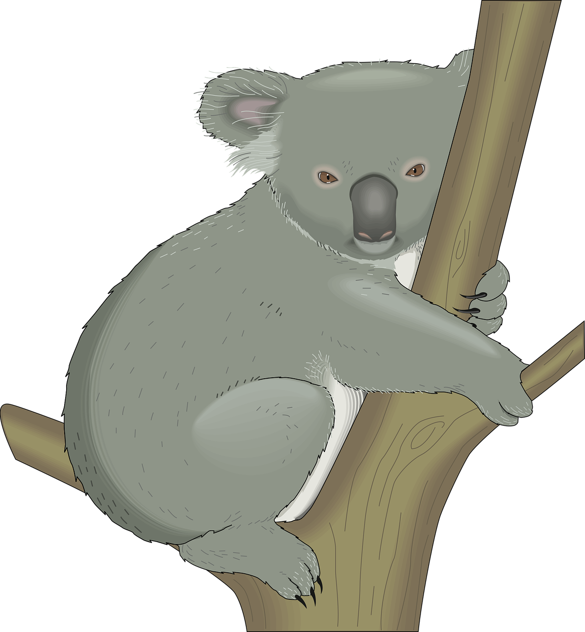 découvrez les stratégies essentielles pour la conservation de la biodiversité afin de préserver les espèces, les habitats naturels et l'équilibre écologique de notre planète.