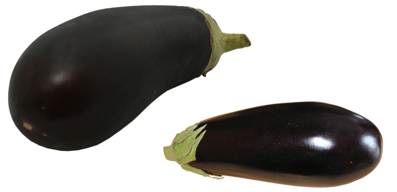 d&eacute;couvrez votre droit &agrave; un environnement sain et les moyens de le prot&eacute;ger pour garantir une qualit&eacute; de vie optimale.